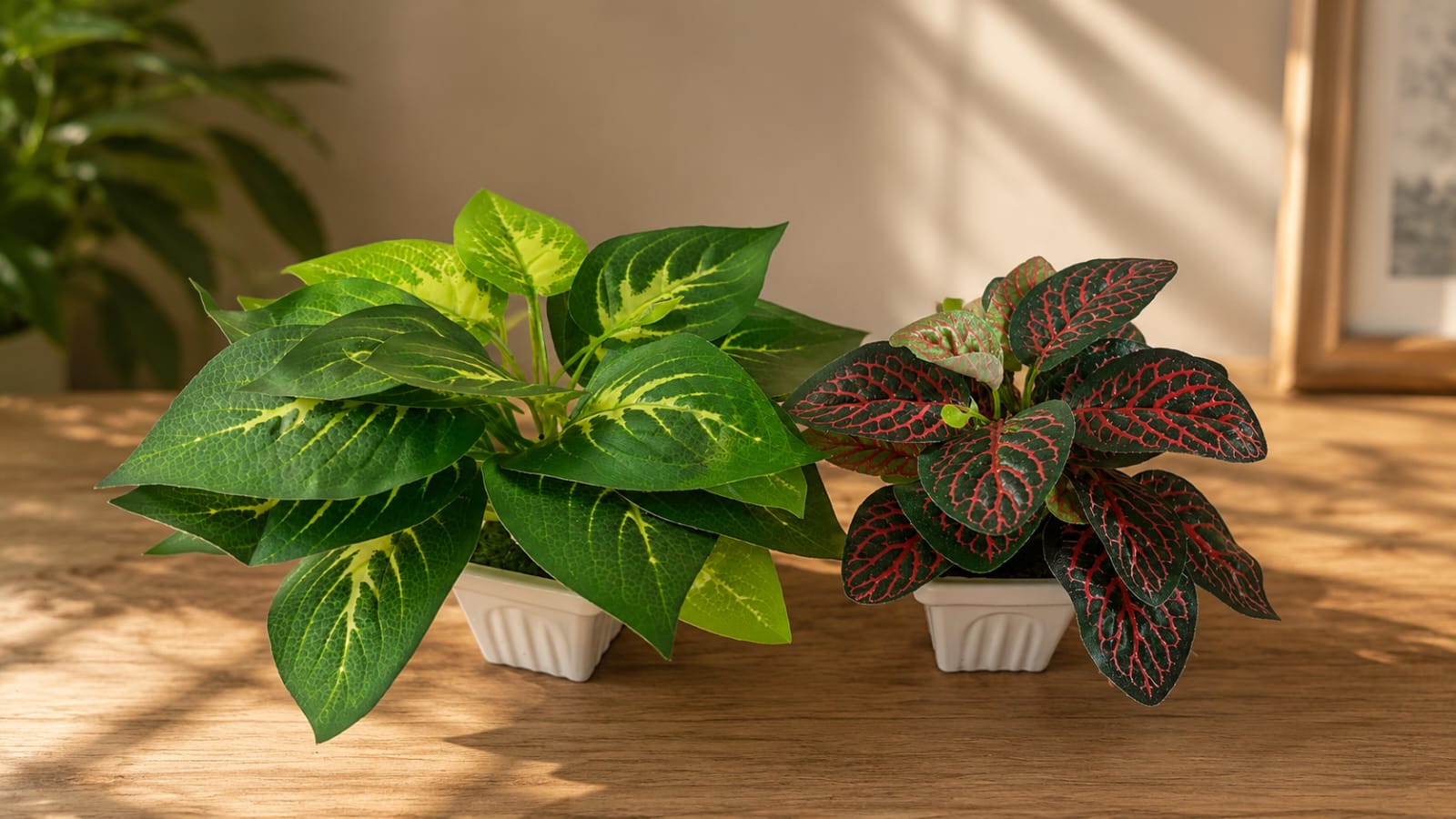 Artificial Money plants combo